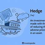 hedge the bet meaning
